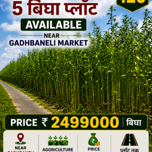 🌾 AGRICULTURE LAND FOR SALE — GADHBANELI MARKET के पास PN 120