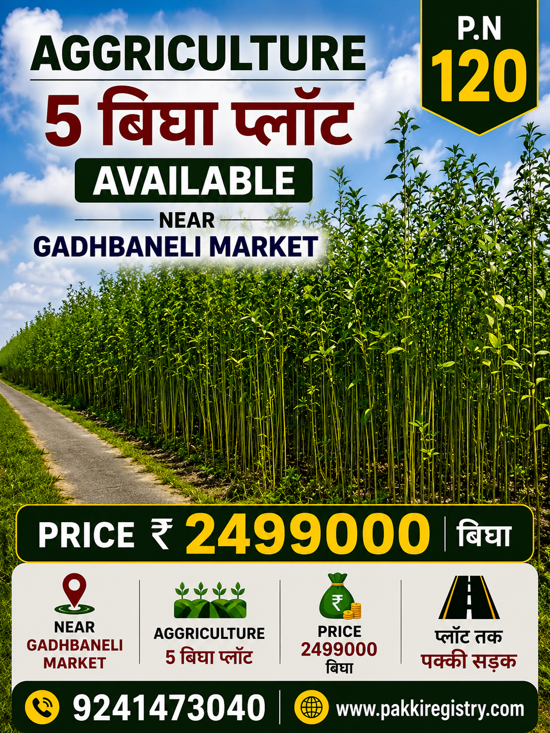 ЁЯМ╛ AGRICULTURE LAND FOR SALE тАФ GADHBANELI MARKET рдХреЗ рдкрд╛рд╕ PN 120
