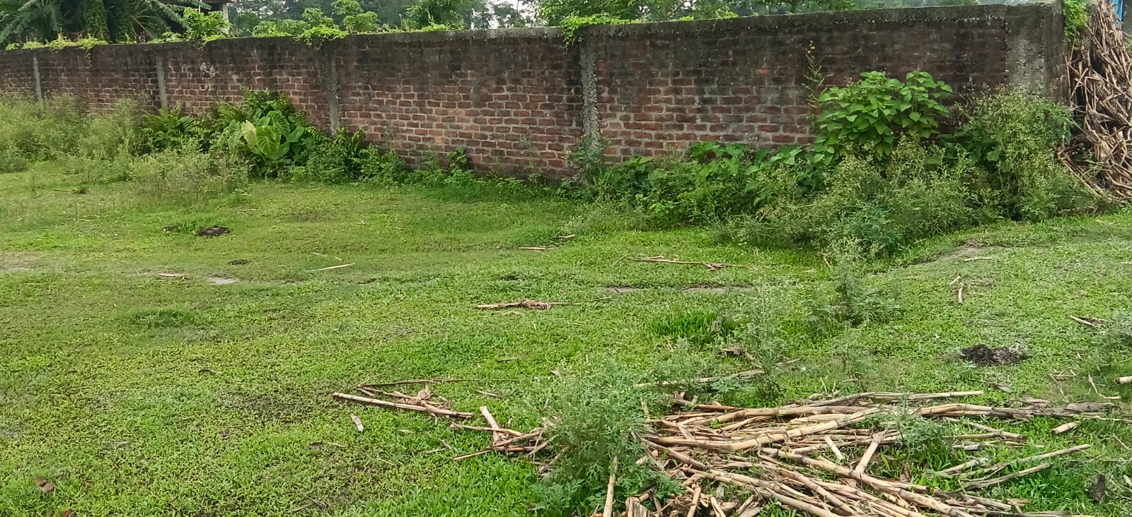 ЁЯПб PURNEA CITY TO KASBA ROAD рд╕реЗ 400 рдореАрдЯрд░ EAST рдореЗрдВ 11 рдХрдЯреНрдард╛ LAND рдмрд┐рдХреНрд░реА рдХреЗ рд▓рд┐рдП PN 114 - Image 6