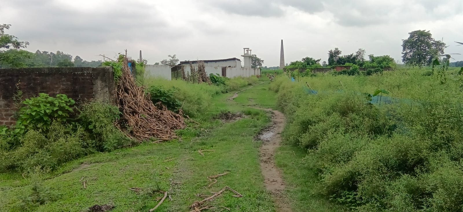 ЁЯПб PURNEA CITY TO KASBA ROAD рд╕реЗ 400 рдореАрдЯрд░ EAST рдореЗрдВ 11 рдХрдЯреНрдард╛ LAND рдмрд┐рдХреНрд░реА рдХреЗ рд▓рд┐рдП PN 114 - Image 2