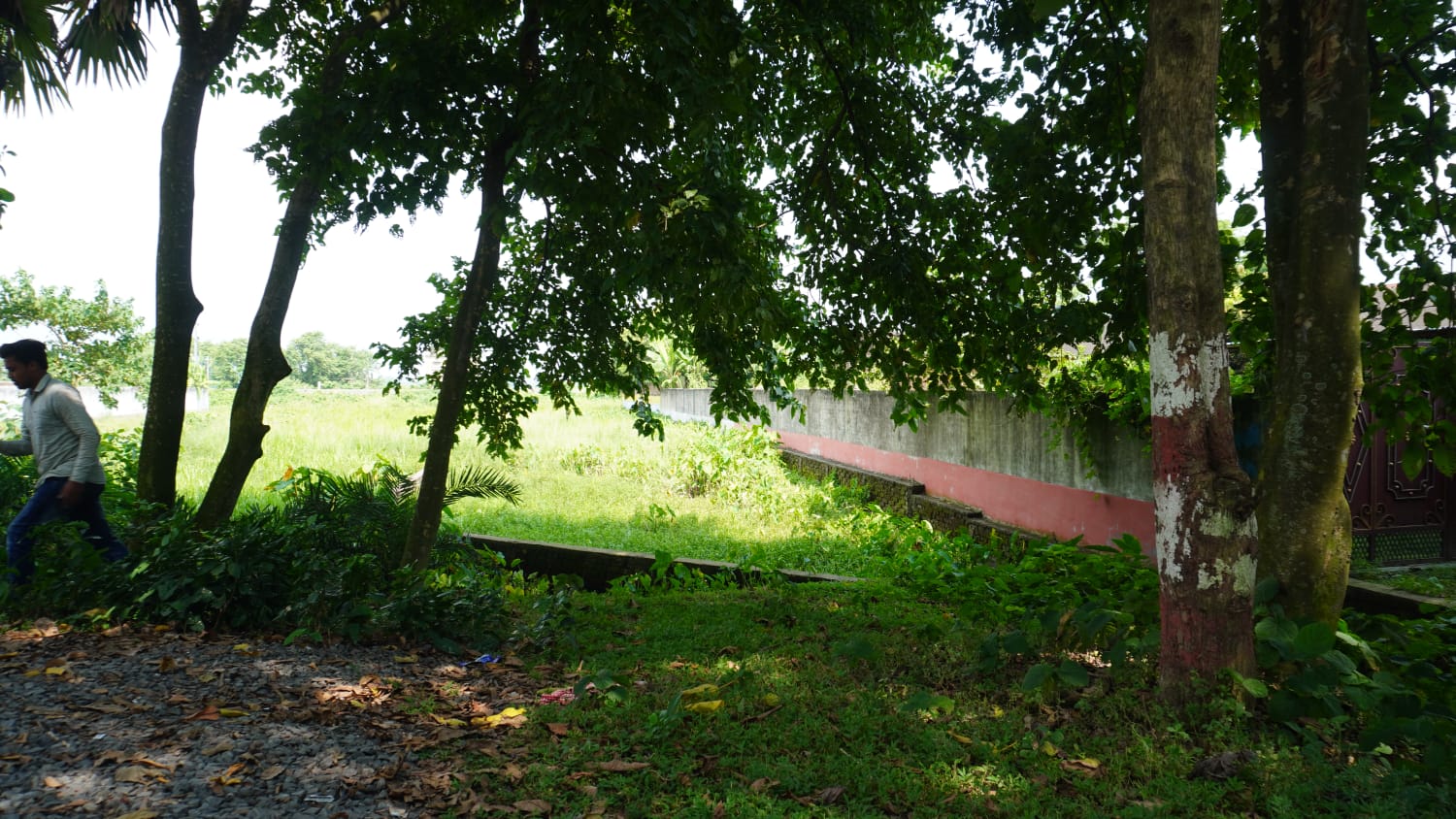 🏡 PURNIA CITY – KASBA HIGHWAY के बगल में 10 कट्ठा PLOT बिक्री के लिए PN 113 - Image 7