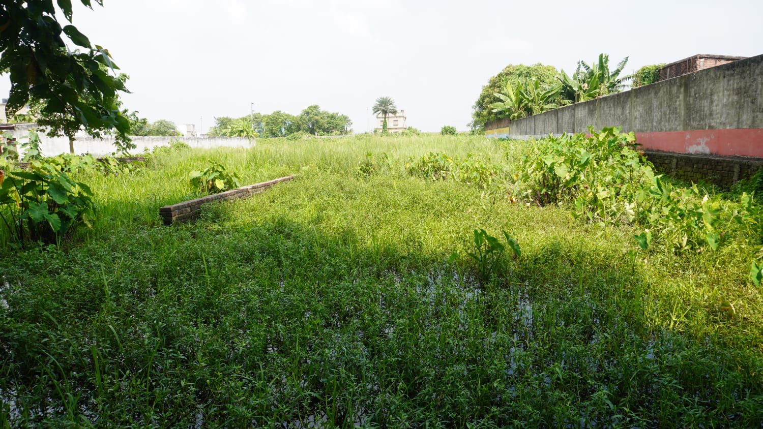 🏡 PURNIA CITY – KASBA HIGHWAY के बगल में 10 कट्ठा PLOT बिक्री के लिए PN 113 - Image 5