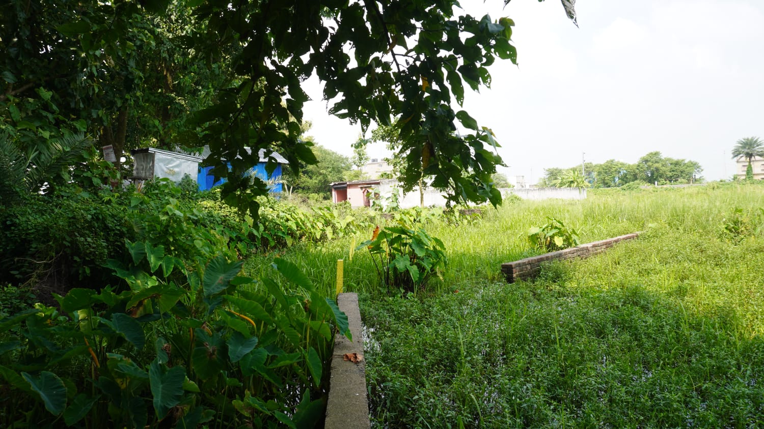 🏡 PURNIA CITY – KASBA HIGHWAY के बगल में 10 कट्ठा PLOT बिक्री के लिए PN 113 - Image 6