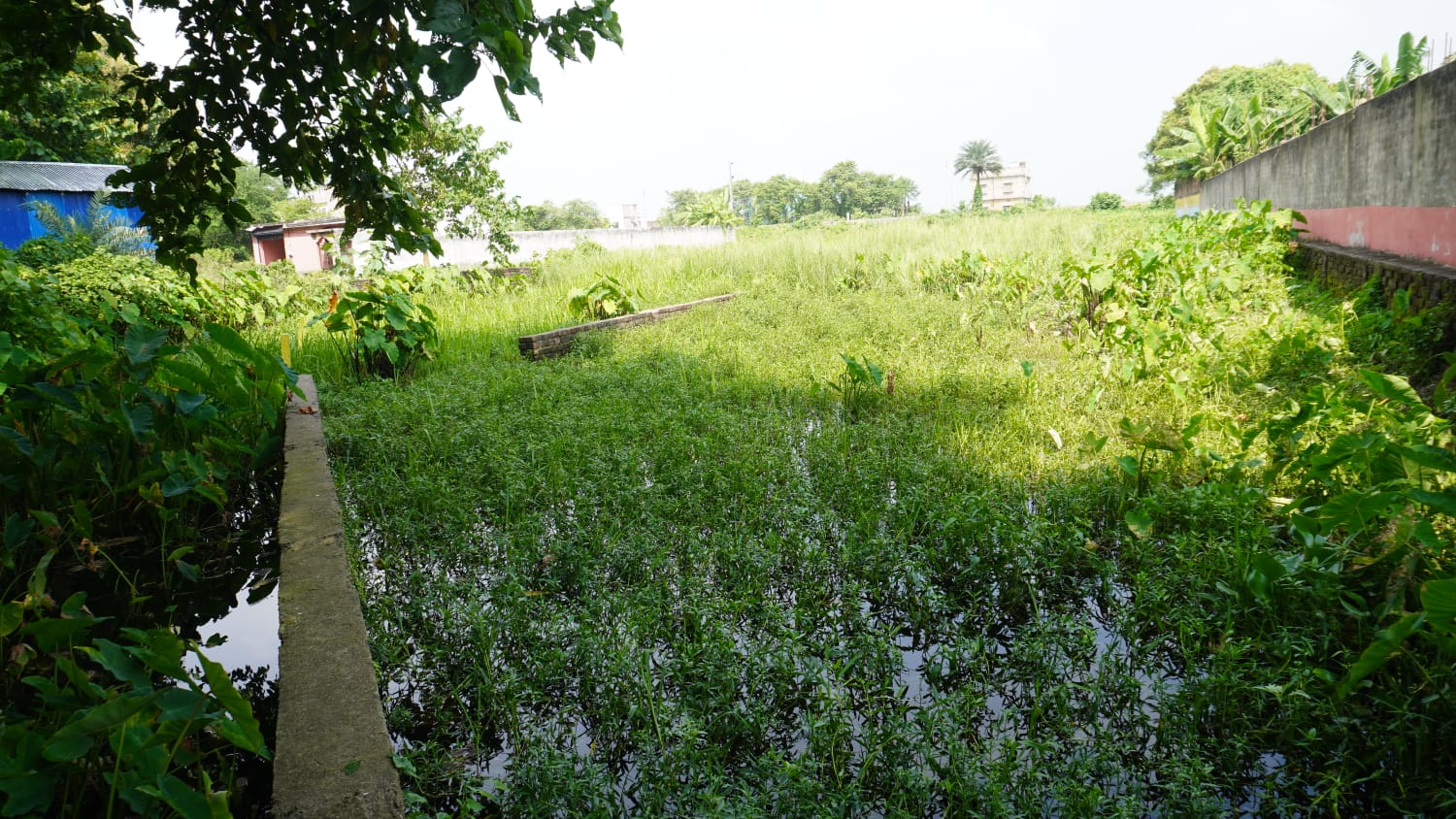 🏡 PURNIA CITY – KASBA HIGHWAY के बगल में 10 कट्ठा PLOT बिक्री के लिए PN 113 - Image 2