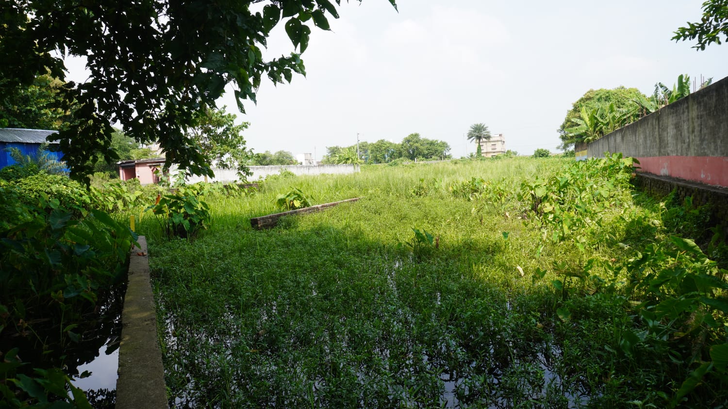 🏡 PURNIA CITY – KASBA HIGHWAY के बगल में 10 कट्ठा PLOT बिक्री के लिए PN 113 - Image 4