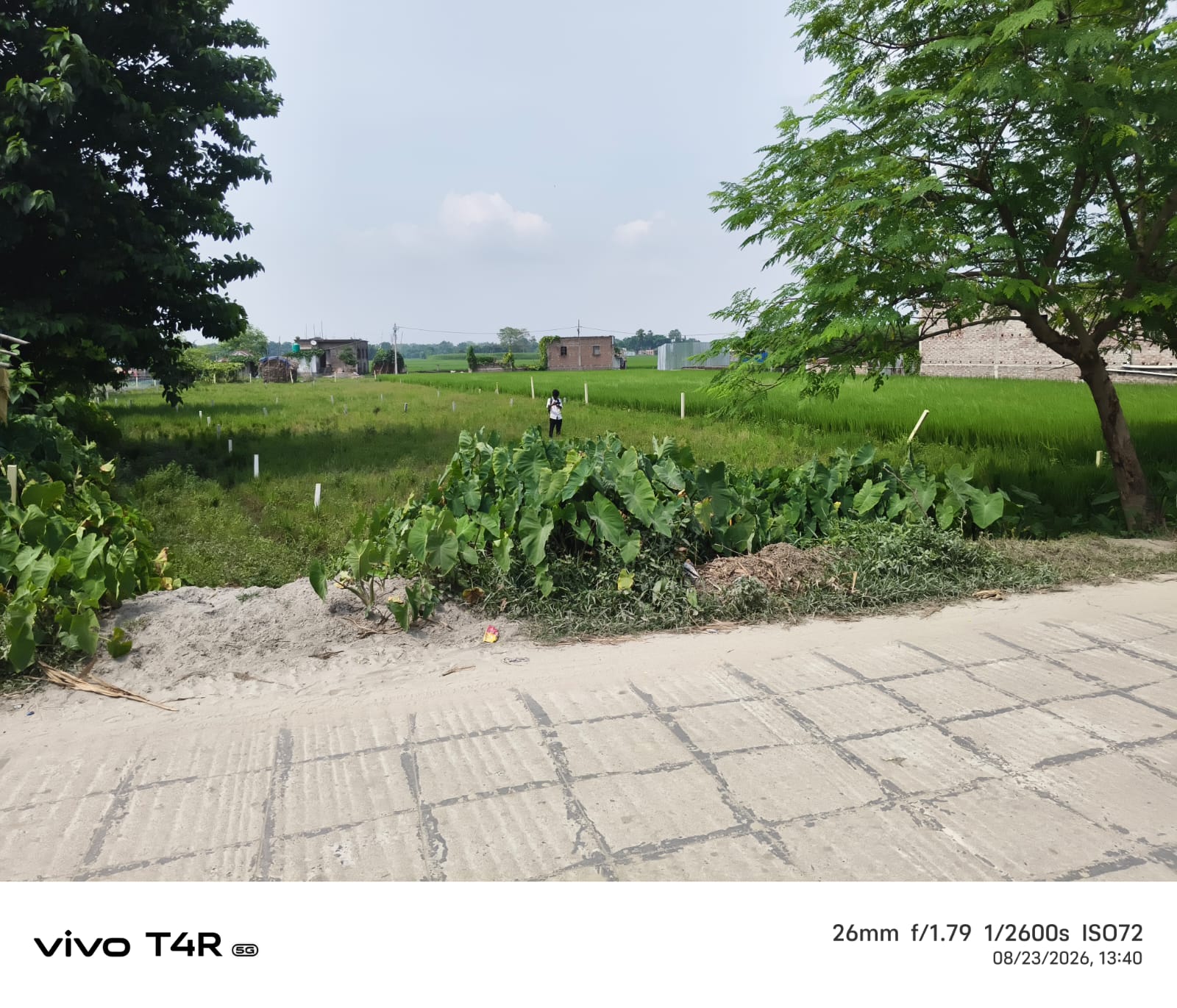 ЁЯПб PURNIA CITY тАУ KASBA MAIN ROAD рдкрд░ 17 рдХрдЯреНрдард╛ PLOT рдмрд┐рдХреНрд░реА рдХреЗ рд▓рд┐рдП PN 112 - Image 4