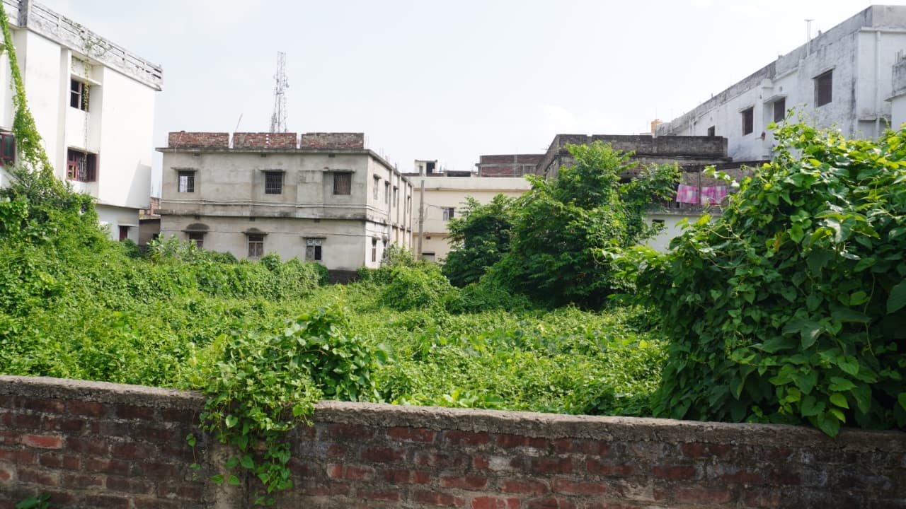 🏡 PROFESSOR COLONY – RAMBAGH में 4 कट्ठा RESIDENTIAL PLOT बिक्री के लिए PN 111 - Image 12