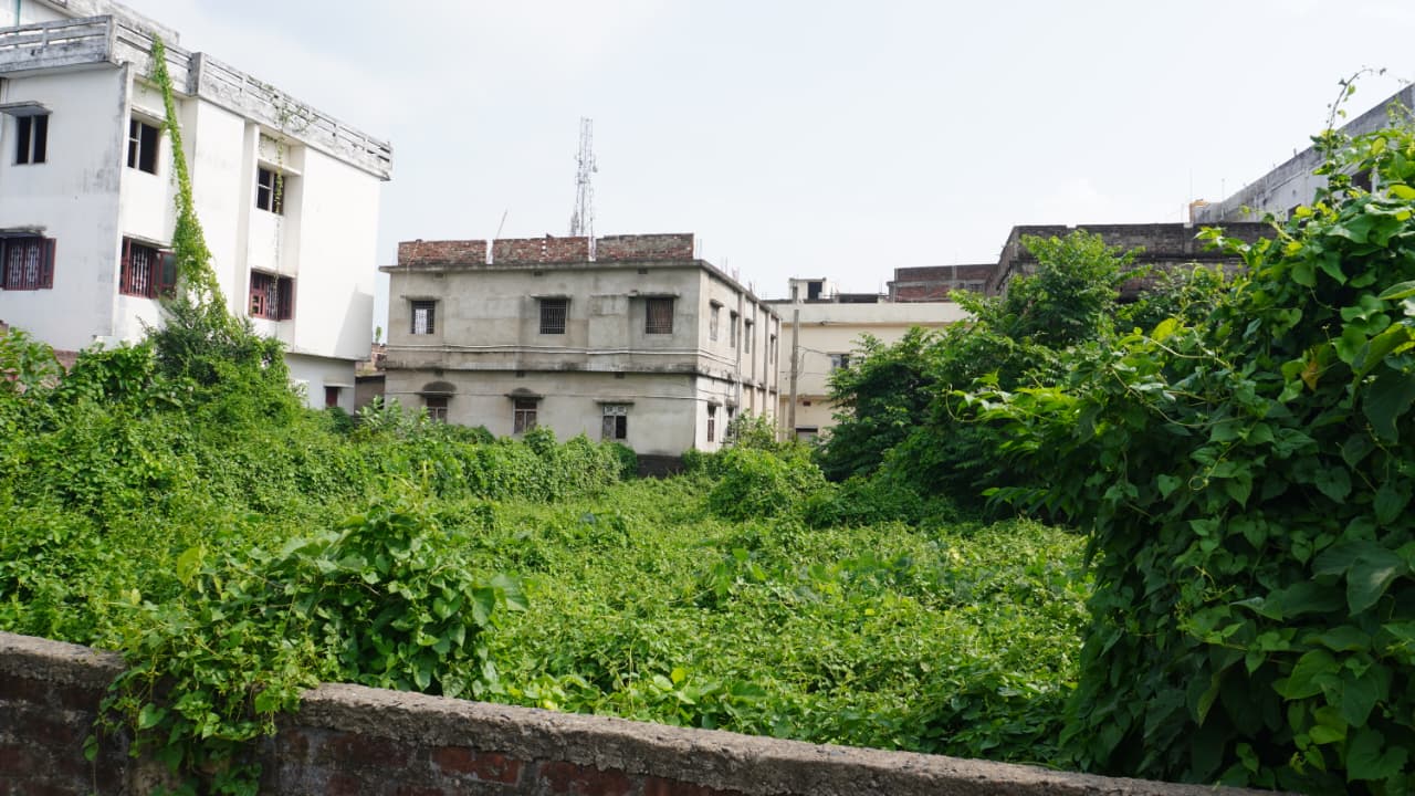 🏡 PROFESSOR COLONY – RAMBAGH में 4 कट्ठा RESIDENTIAL PLOT बिक्री के लिए PN 111 - Image 6