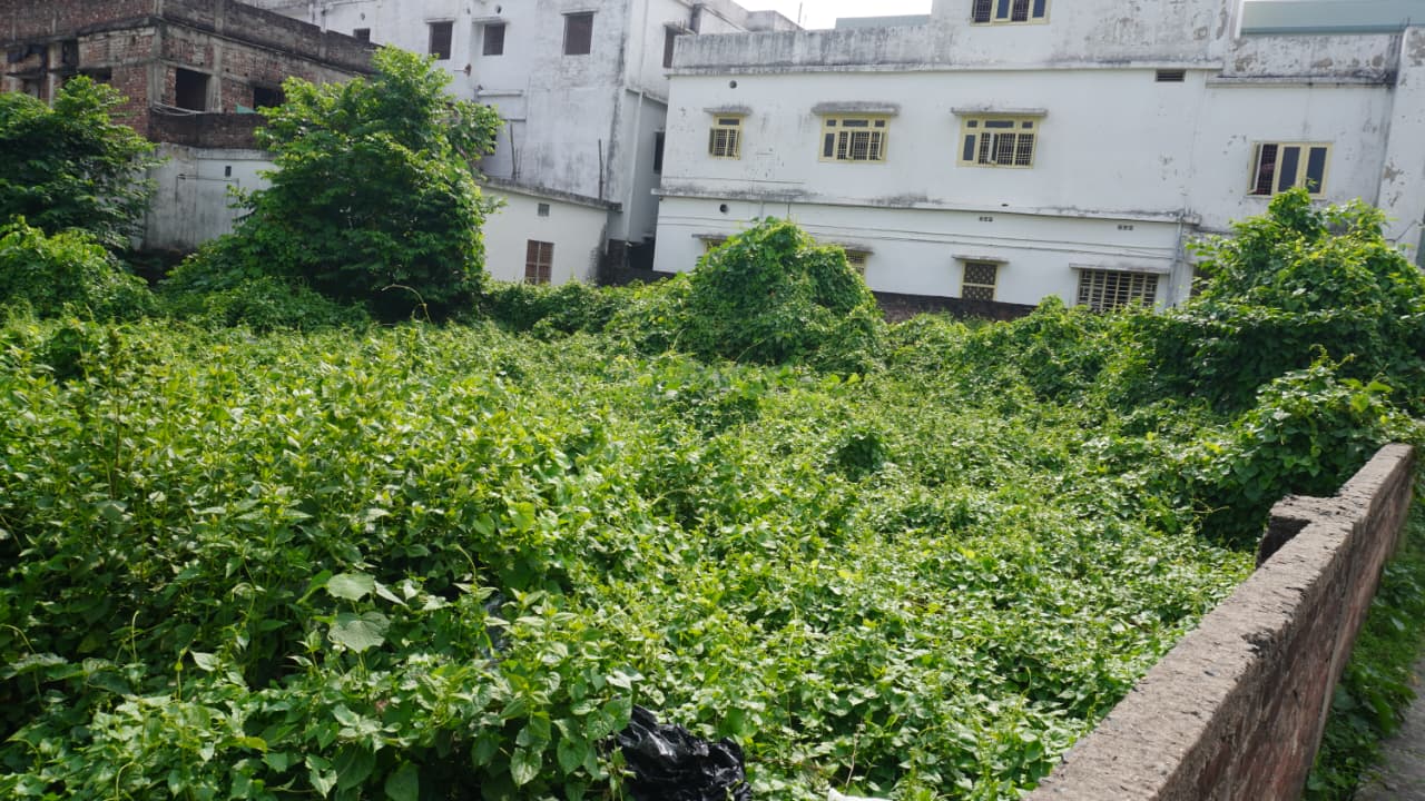🏡 PROFESSOR COLONY – RAMBAGH में 4 कट्ठा RESIDENTIAL PLOT बिक्री के लिए PN 111 - Image 11