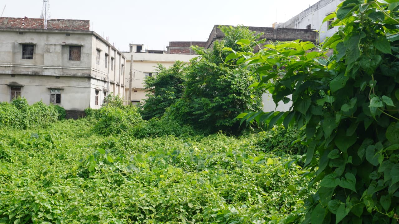 🏡 PROFESSOR COLONY – RAMBAGH में 4 कट्ठा RESIDENTIAL PLOT बिक्री के लिए PN 111 - Image 3