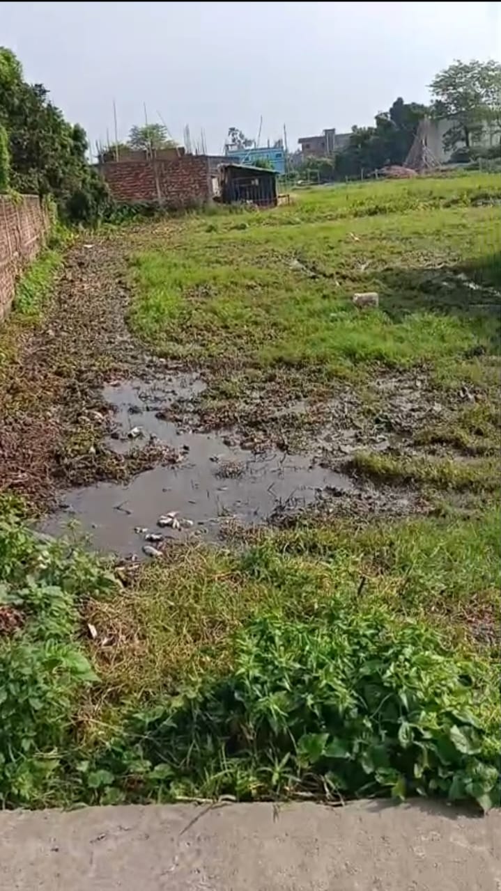🏡 GONDA CHOWK – GULABAGH के पास 8 कट्ठा PLOT बिक्री के लिए PN 110 - Image 4