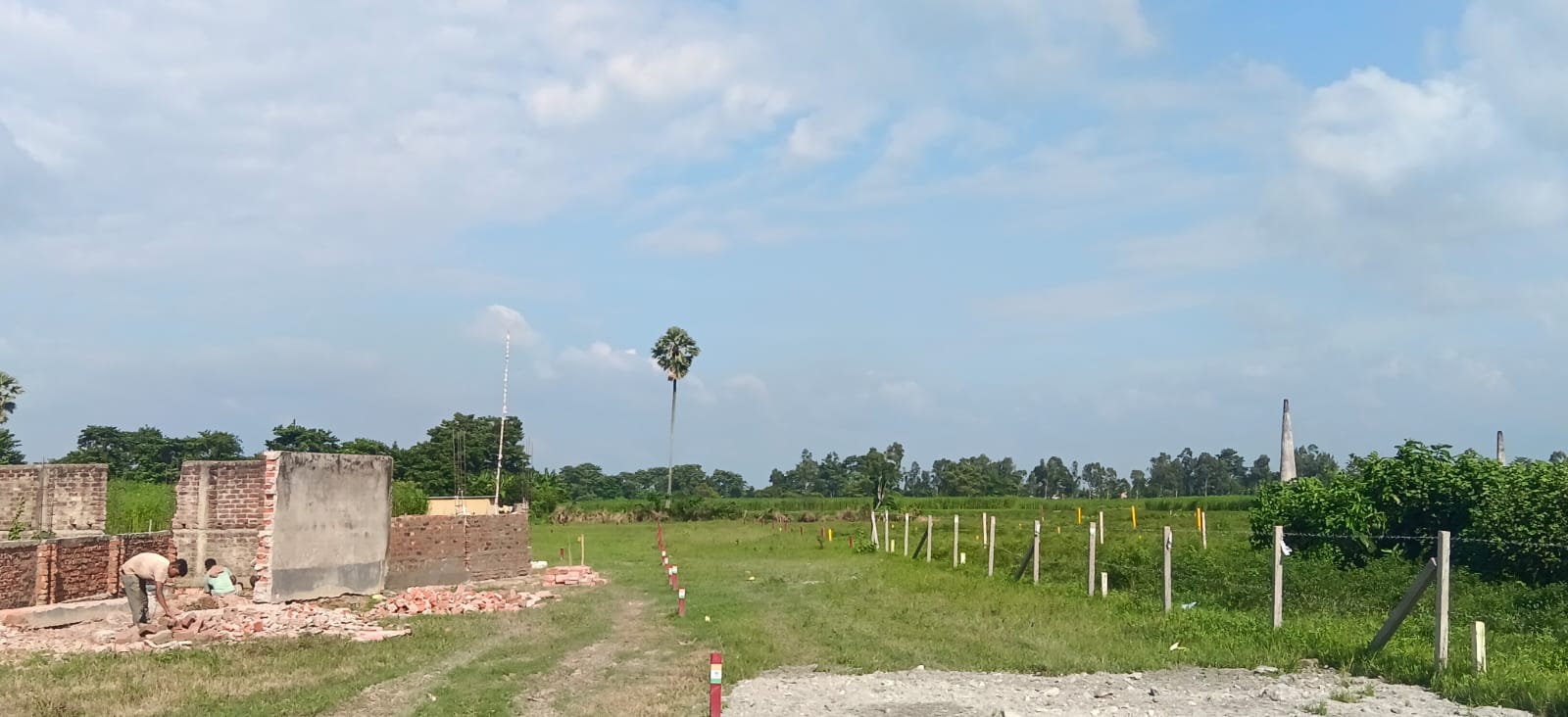 कसबा मेन रोड के पास 6 बीघा प्रीमियम जमीन बिक्री हेतु PN 109 - Image 8