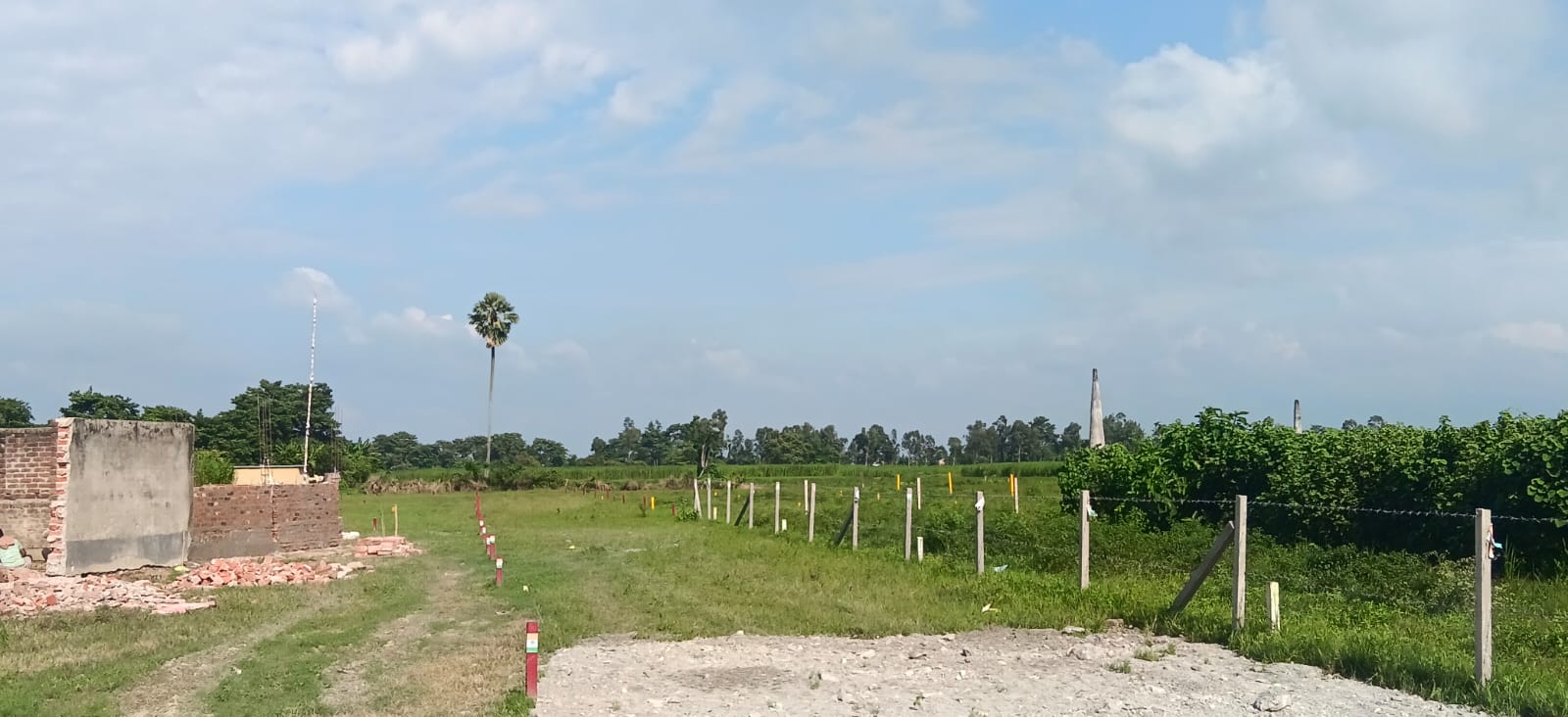 कसबा मेन रोड के पास 6 बीघा प्रीमियम जमीन बिक्री हेतु PN 109 - Image 7