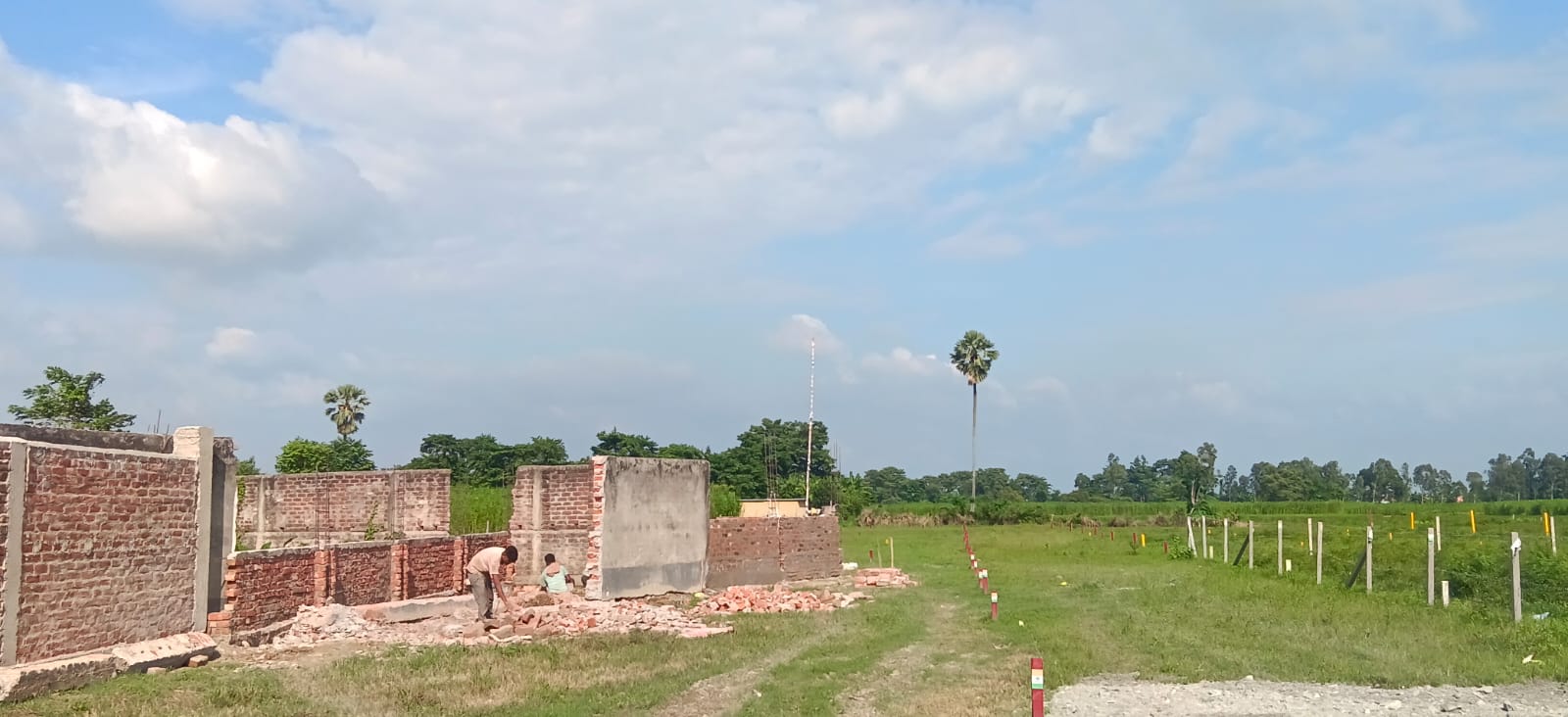 कसबा मेन रोड के पास 6 बीघा प्रीमियम जमीन बिक्री हेतु PN 109 - Image 4