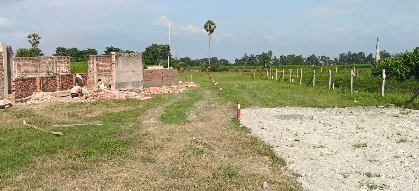 कसबा मेन रोड के पास 6 बीघा प्रीमियम जमीन बिक्री हेतु PN 109 - Image 3