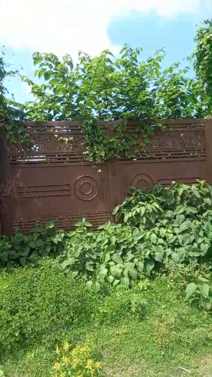 ЁЯПб CITY TO KASBA ROAD рдкрд░ 6.5 рдХрдЯреНрдард╛ рдмреЙрдиреНрдбреНрд░реА рд╕реЗ рдШрд┐рд░реА рдЬрдореАрди рдмрд┐рдХреНрд░реА рдХреЗ рд▓рд┐рдП PN 105 - Image 4