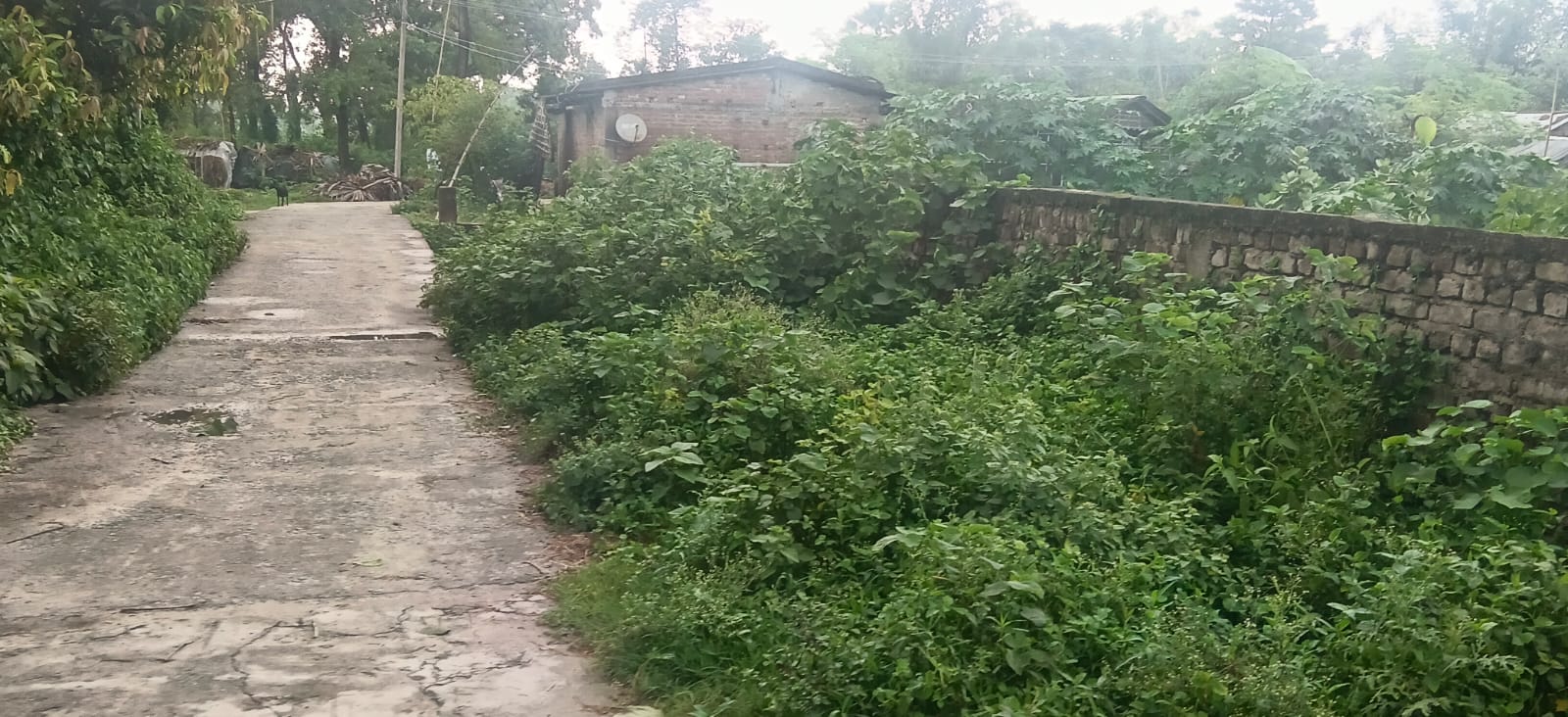 ЁЯПб BAKSHA GHAT тАУ DAV ROAD PURNIA рдореЗрдВ 23 рдХрдЯреНрдард╛ рдЬрдореАрди рдмрд┐рдХреНрд░реА рдХреЗ рд▓рд┐рдП PN 119 - Image 3