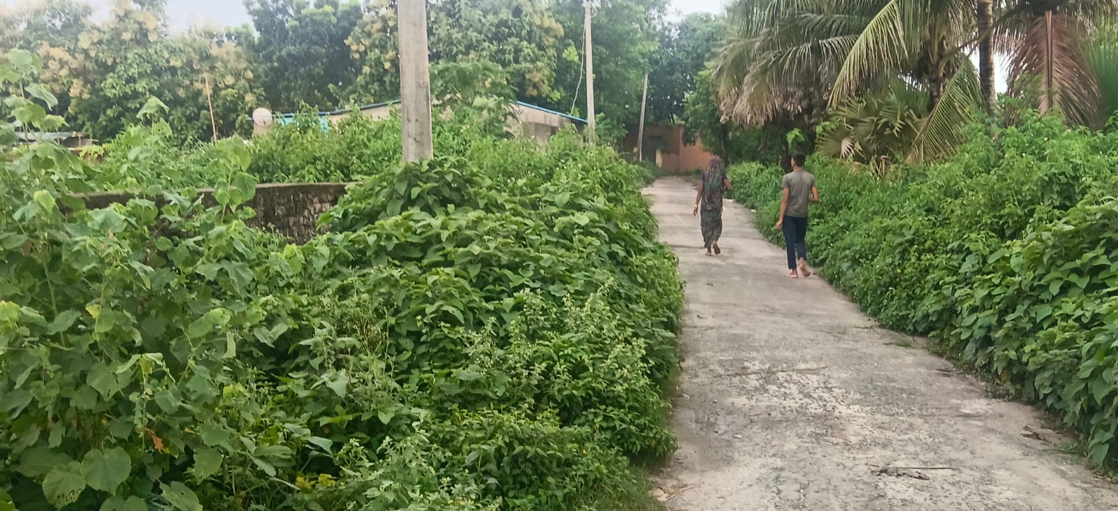 ЁЯПб BAKSHA GHAT тАУ DAV ROAD PURNIA рдореЗрдВ 23 рдХрдЯреНрдард╛ рдЬрдореАрди рдмрд┐рдХреНрд░реА рдХреЗ рд▓рд┐рдП PN 119 - Image 4