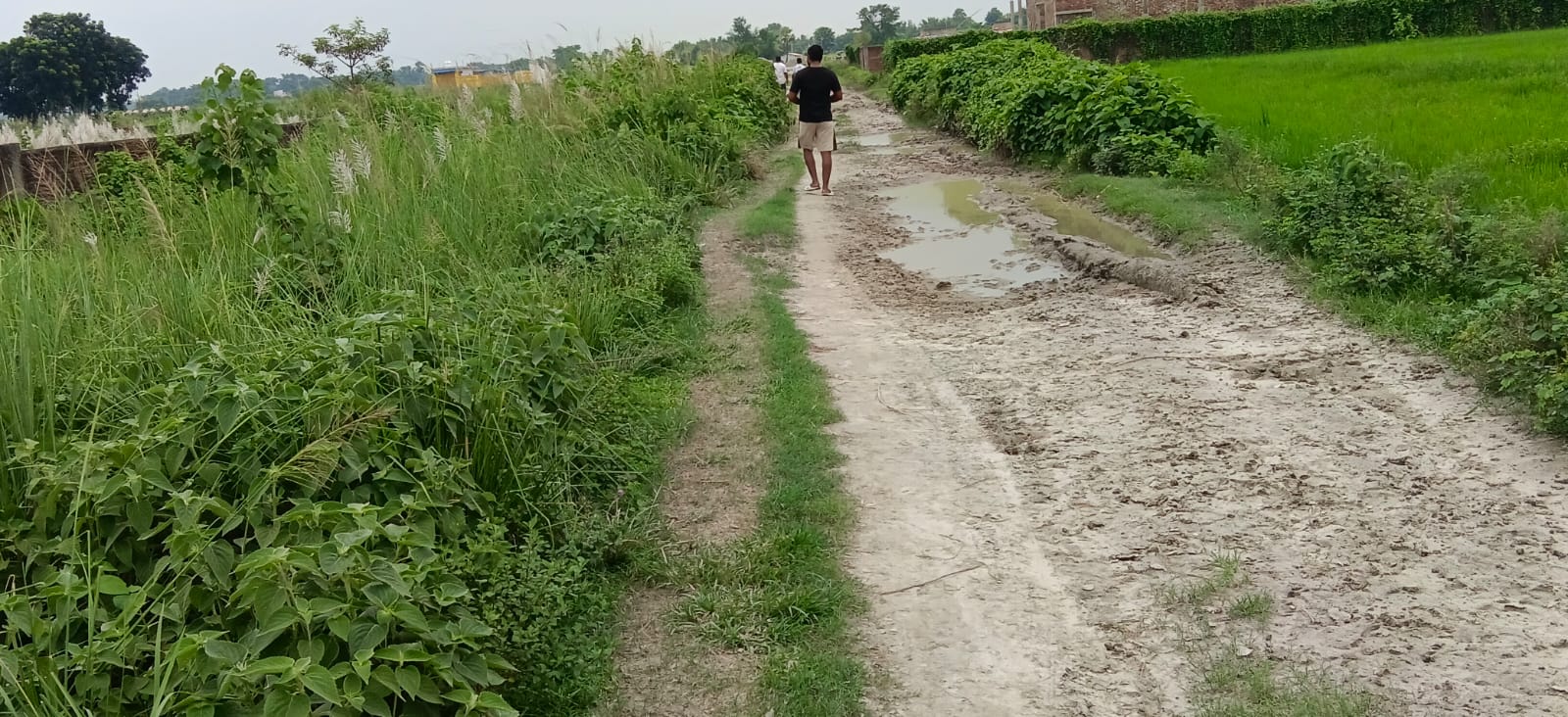 ЁЯПб JHEEL TOLA тАУ JANTA CHOWK рдореЗрдВ 60 рдбрд┐рд╕рдорд▓ рдЬрдореАрди рдмрд┐рдХреНрд░реА рдХреЗ рд▓рд┐рдП PN 122 - Image 4