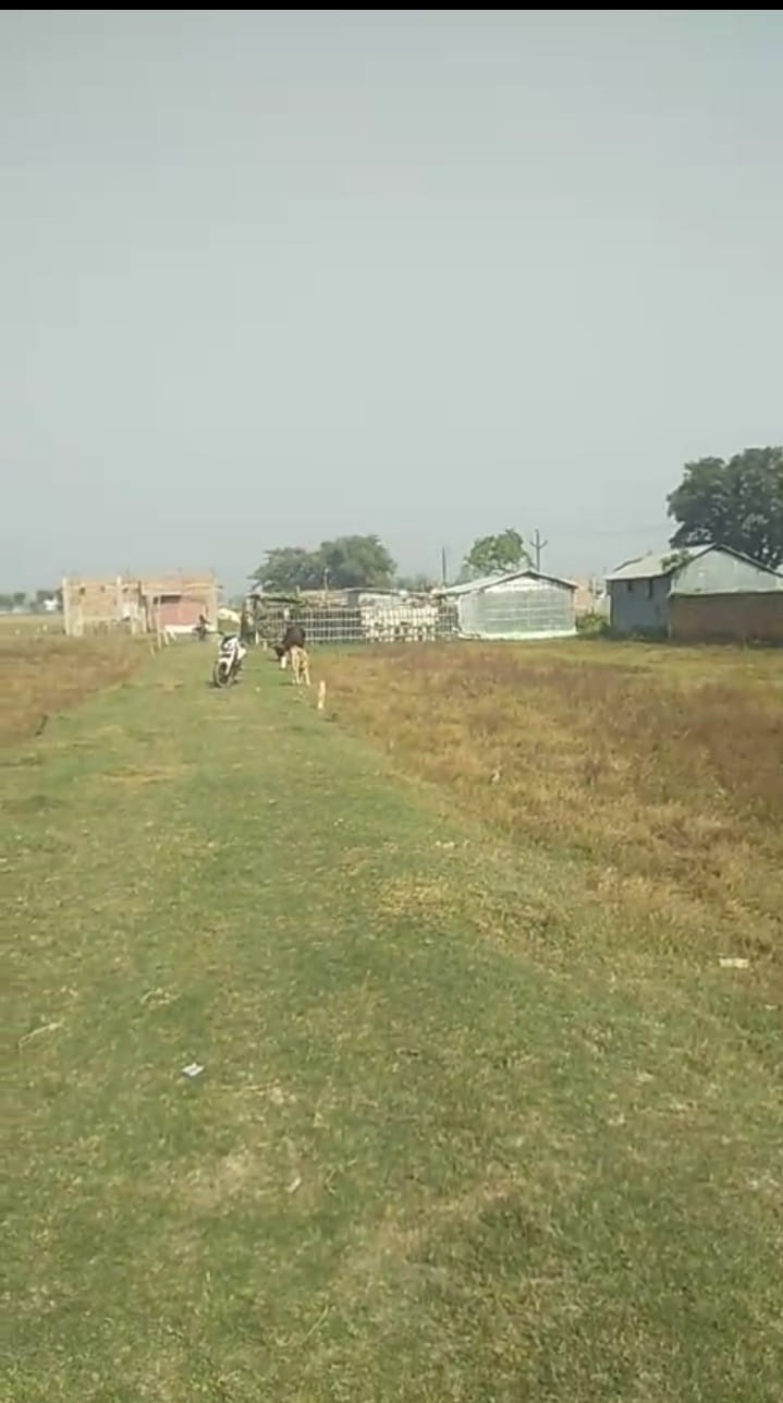 🏡 CHANDAN NAGAR – GONDA CHOWK, GULAB BAGH PURNIA में 2 कट्ठा प्लॉट बिक्री के लिए PN 126 - Image 7