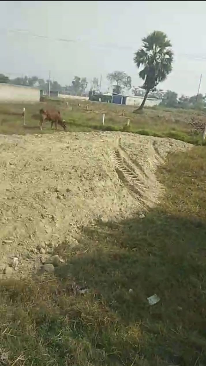 🏡 CHANDAN NAGAR – GONDA CHOWK, GULAB BAGH PURNIA में 2 कट्ठा प्लॉट बिक्री के लिए PN 126 - Image 2