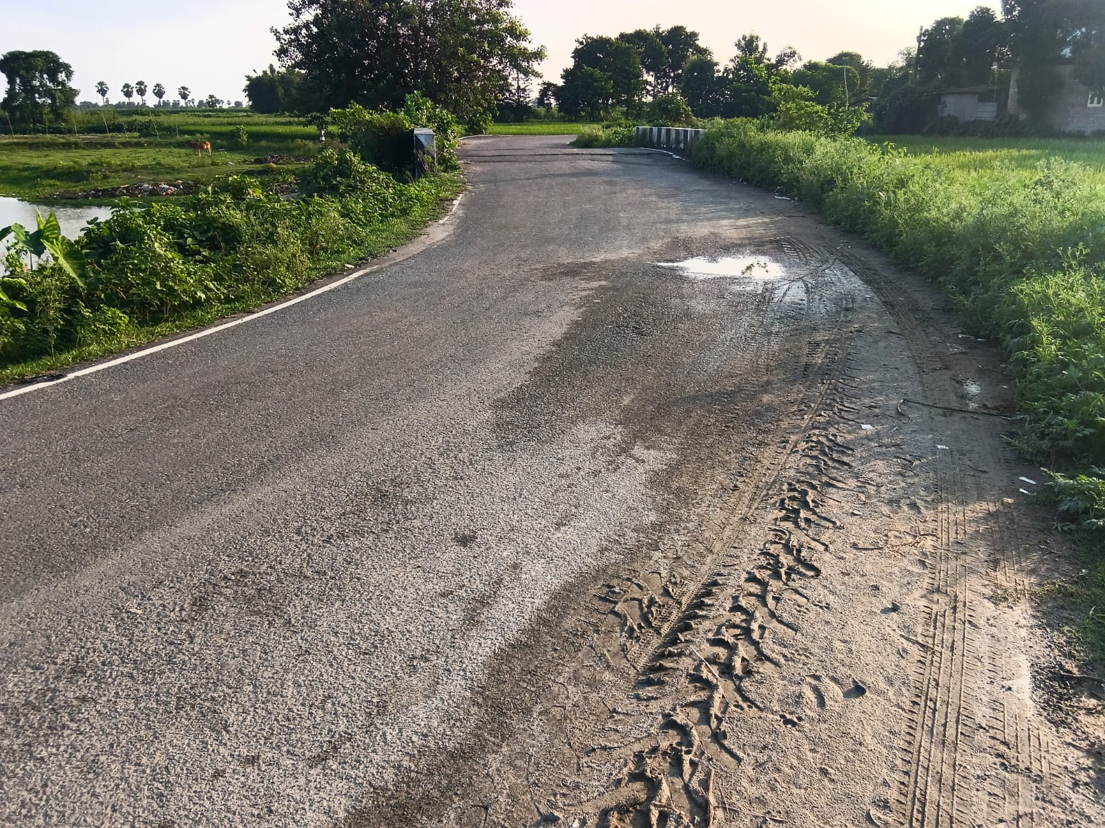 🏡 RANIPATRA – MANJHELI ROAD पर प्लॉट बिक्री के लिए PN 127 - Image 3