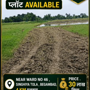 🏡 SINGHIYA TOLA, BEGAMBAD में 3 बीघा प्लॉट बिक्री के लिए PN 128