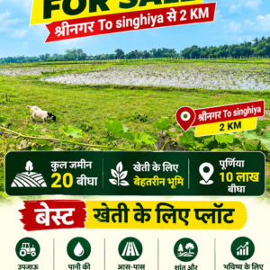 🌾 SHRI NAGAR TO SINGHIYA से 2 KM पर 20 बीघा LAND बिक्री के लिए PN 155