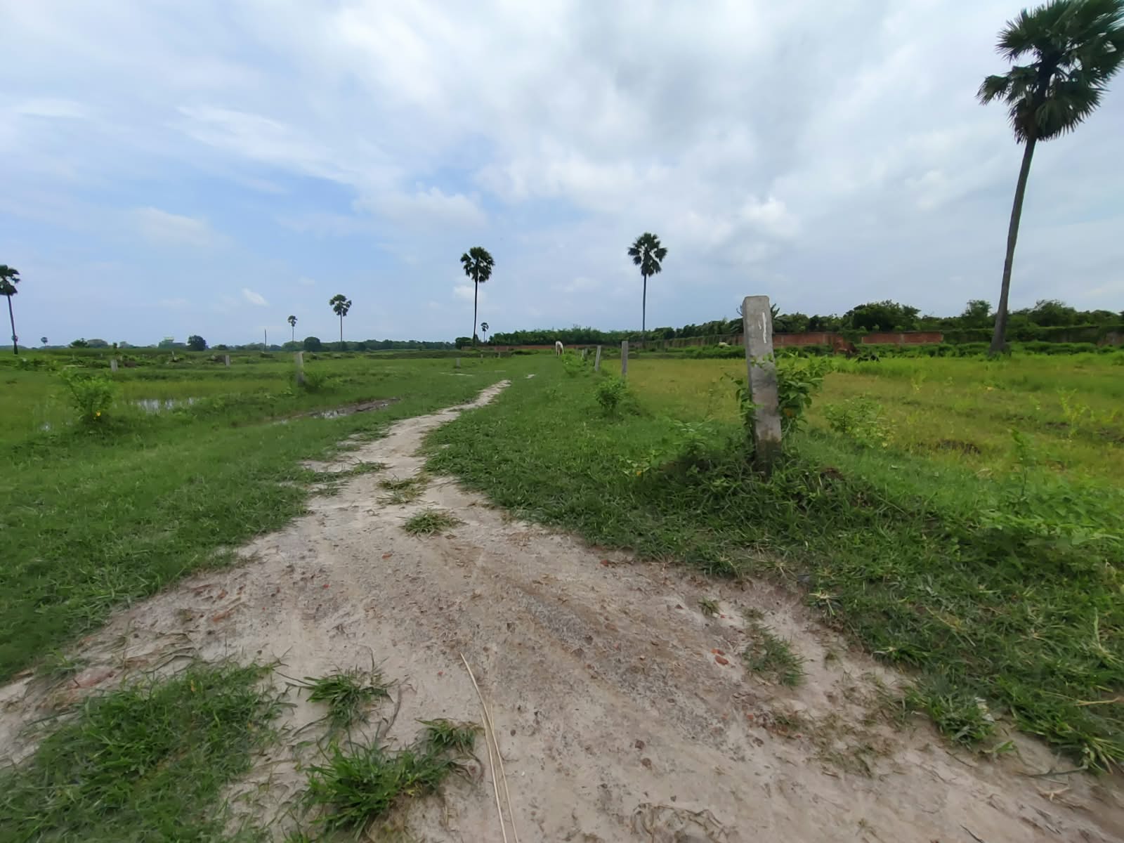ЁЯПб PINK CITY тАУ RAMBAGH PURNIA RAMBAGH MIT рдХреЗ рдкреАрдЫреЗ тАв NEW BYPASS ROAD рдкрд░ 40 рдмреАрдШрд╛ рдХреА рдкреНрд░реАрдорд┐рдпрдо рд╕реЛрд╕рд╛рдЗрдЯреА PN 129 - Image 7
