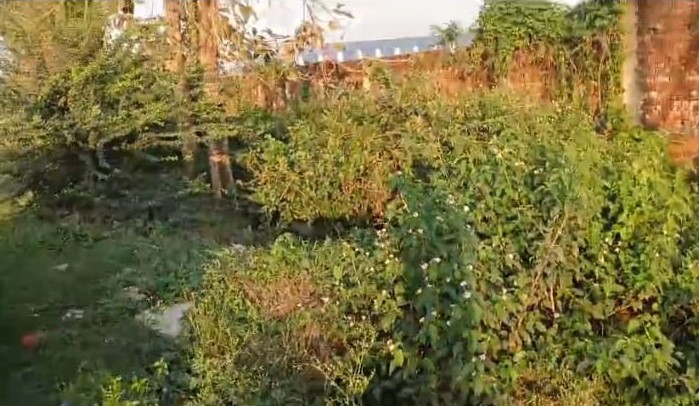 🏡 KISHANGANJ ROAD पर 15 बीघा जमीन बिक्री के लिए PN 133 - Image 3