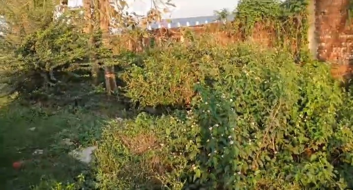 🏡 KISHANGANJ ROAD पर 15 बीघा जमीन बिक्री के लिए PN 133 - Image 6
