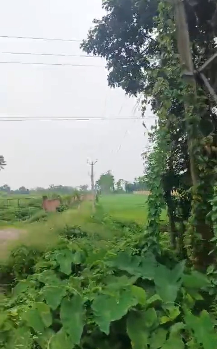 🏡 JHARNA PUL के पास 6.5 बीघा LAND बिक्री के लिए PN 143 - Image 6