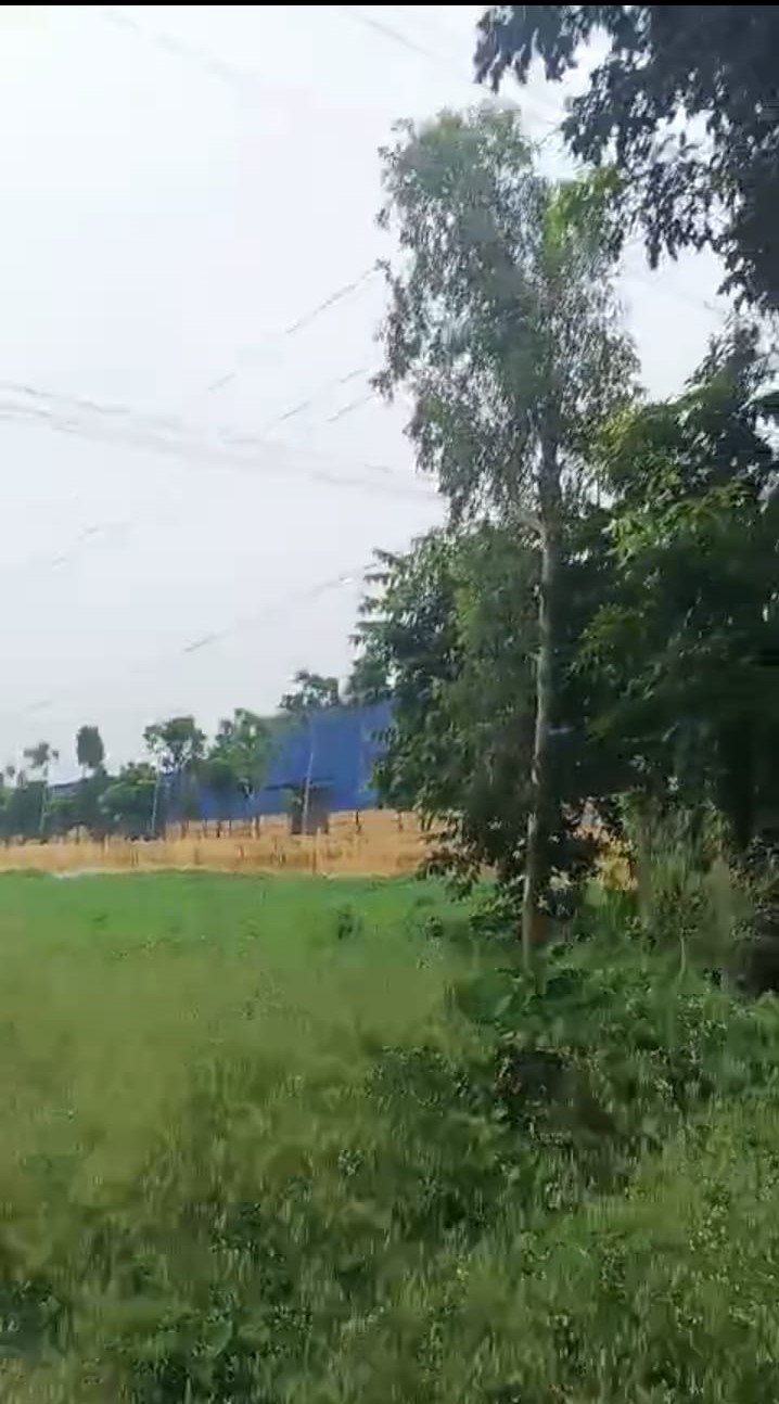 🏡 JHARNA PUL के पास 6.5 बीघा LAND बिक्री के लिए PN 143 - Image 7