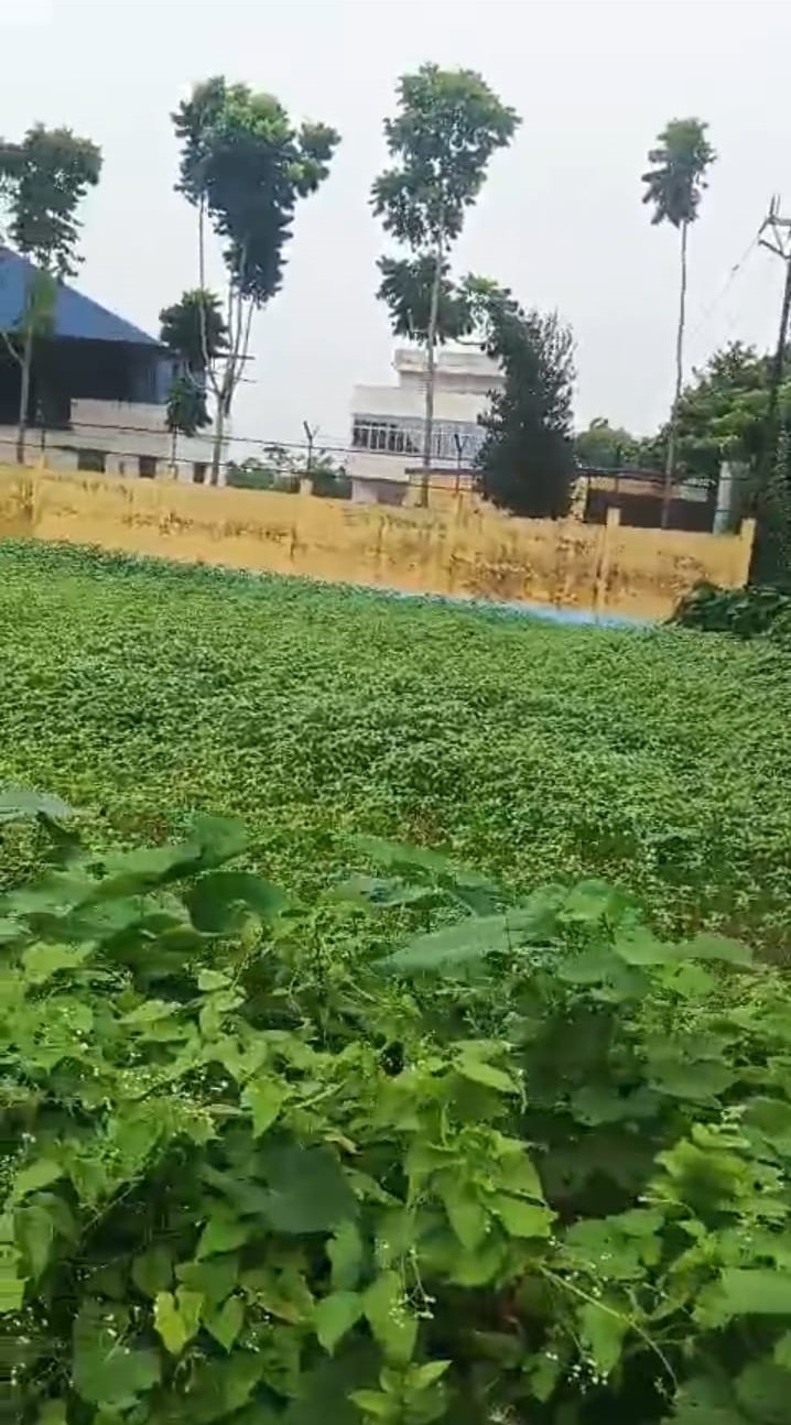 🏡 JHARNA PUL के पास 6.5 बीघा LAND बिक्री के लिए PN 143 - Image 3
