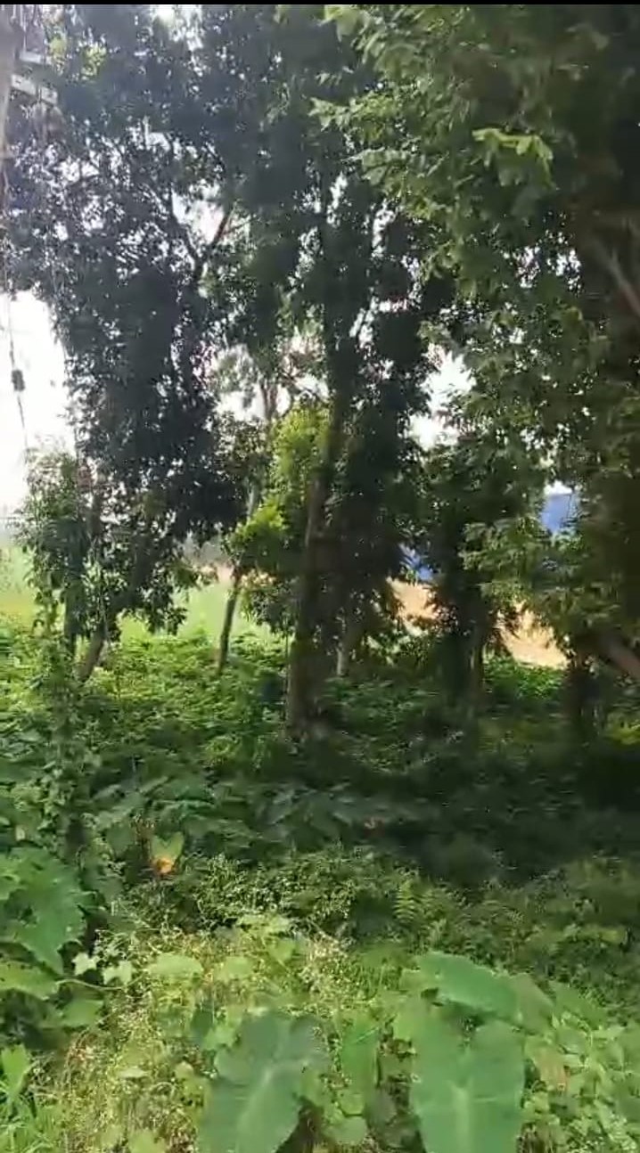 🏡 JHARNA PUL के पास 6.5 बीघा LAND बिक्री के लिए PN 143 - Image 4