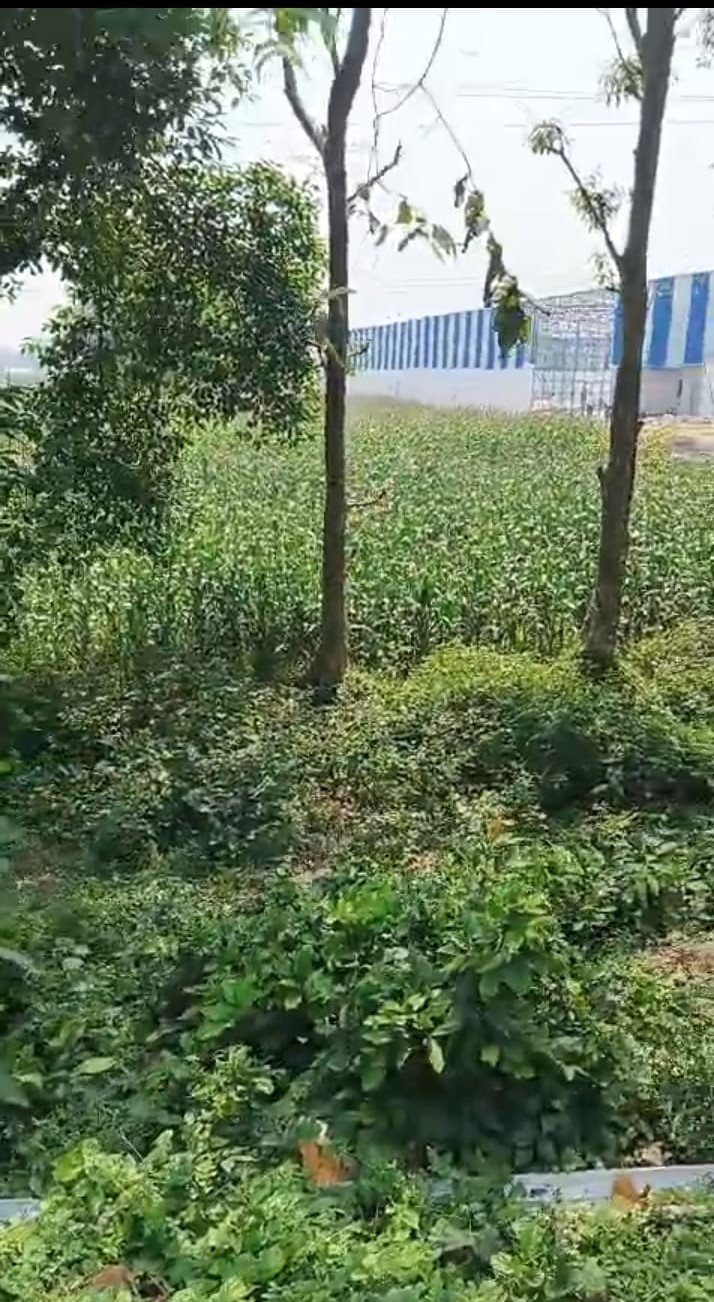 ЁЯПб ZERO MILE тАУ GULAB BAGH TO KASBA ROAD рдореЗрдВ 30 рдХрдЯреНрдард╛ рдЬрдореАрди рдмрд┐рдХреНрд░реА рдХреЗ рд▓рд┐рдП PN 135 - Image 6