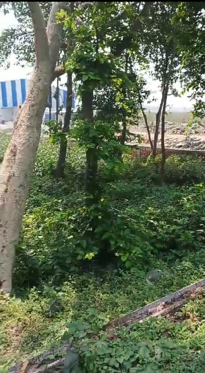 ЁЯПб ZERO MILE тАУ GULAB BAGH TO KASBA ROAD рдореЗрдВ 30 рдХрдЯреНрдард╛ рдЬрдореАрди рдмрд┐рдХреНрд░реА рдХреЗ рд▓рд┐рдП PN 135 - Image 7