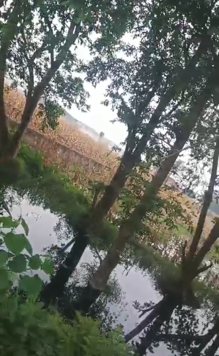 🏡 GULAB BAGH – ZERO MILE TO KASBA ROAD में 8 बीघा LAND बिक्री के लिए PN 137 - Image 5