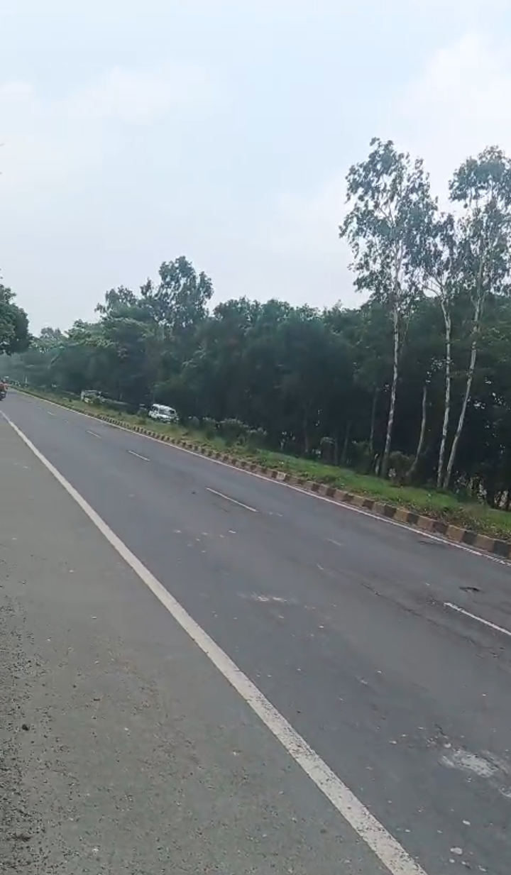 🏡 GULAB BAGH – ZERO MILE TO KASBA ROAD में 8 बीघा LAND बिक्री के लिए PN 137 - Image 2