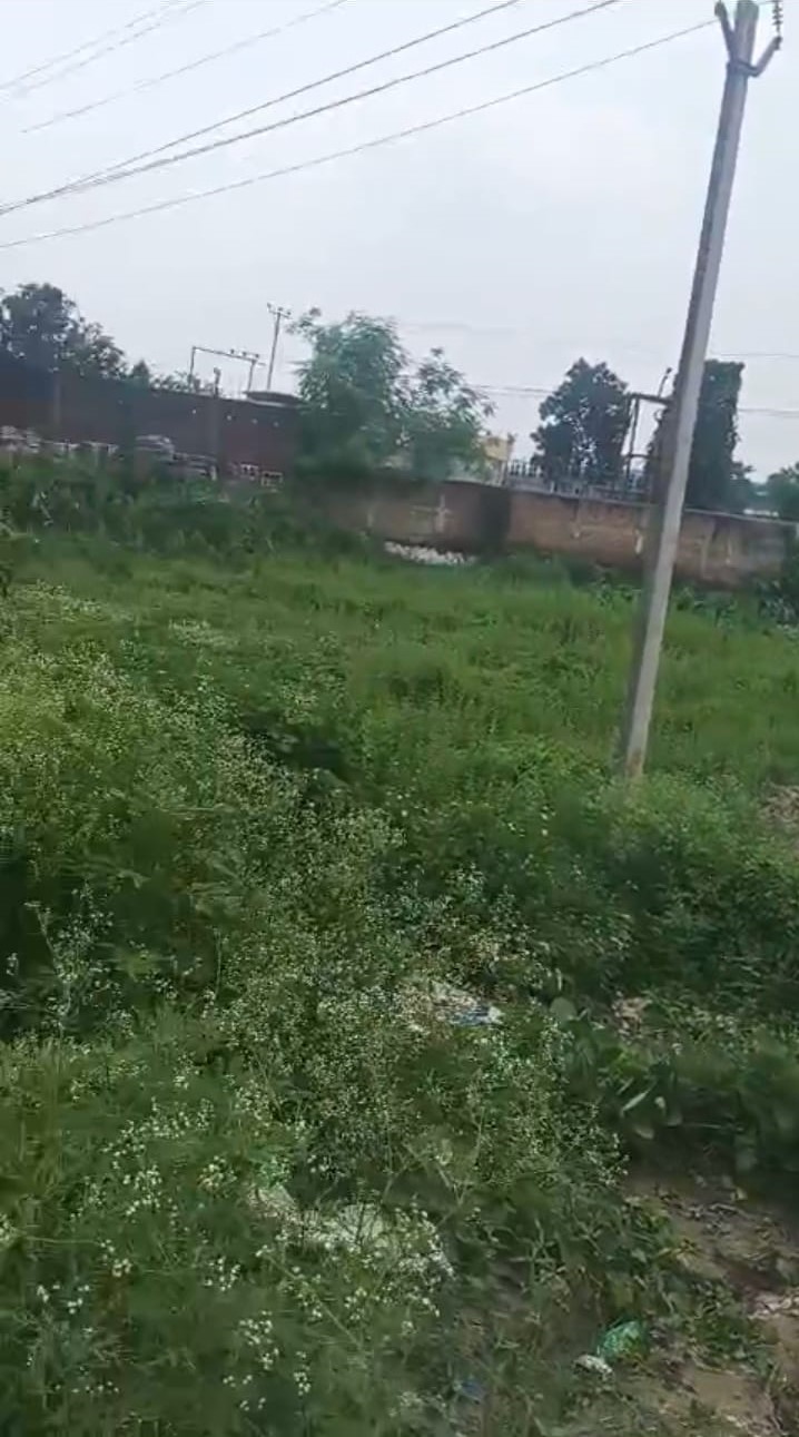 ЁЯПб GULAB BAGH тАУ DAMKA CHOWK рдореЗрдВ 6 рдХрдЯреНрдард╛ LAND рдмрд┐рдХреНрд░реА рдХреЗ рд▓рд┐рдП PN 138 - Image 6