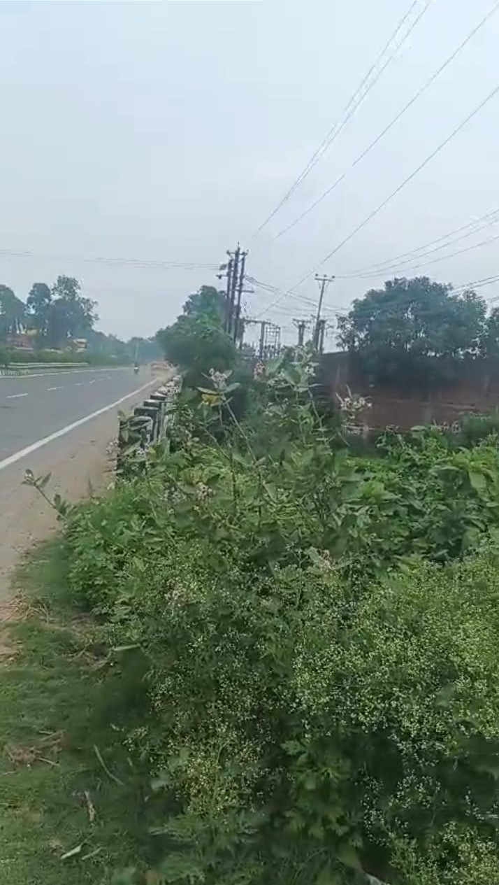 ЁЯПб GULAB BAGH тАУ DAMKA CHOWK рдореЗрдВ 6 рдХрдЯреНрдард╛ LAND рдмрд┐рдХреНрд░реА рдХреЗ рд▓рд┐рдП PN 138 - Image 2