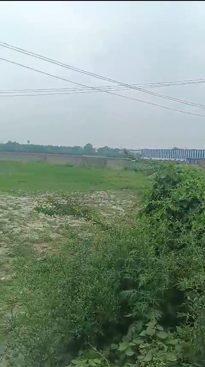 ЁЯПб GULAB BAGH тАУ DAMKA CHOWK рдореЗрдВ 6 рдХрдЯреНрдард╛ LAND рдмрд┐рдХреНрд░реА рдХреЗ рд▓рд┐рдП PN 138 - Image 5