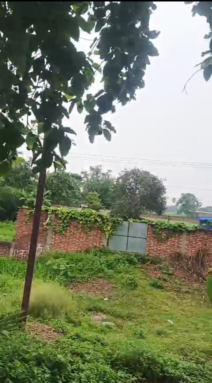ЁЯПб GULAB BAGH тАУ ZERO MILE TO KASBA ROAD рдореЗрдВ 5 рдХрдЯреНрдард╛ LAND рдмрд┐рдХреНрд░реА рдХреЗ рд▓рд┐рдП PN 141 - Image 5