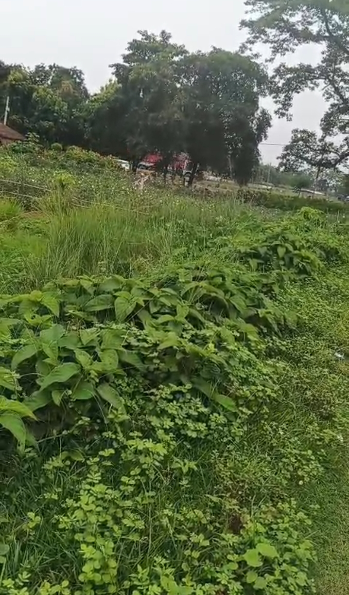 🏡 SIMMA KALI MANDIR – GADHBNELI PURNIA में 25 कट्ठा LAND बिक्री के लिए PN 142 - Image 7