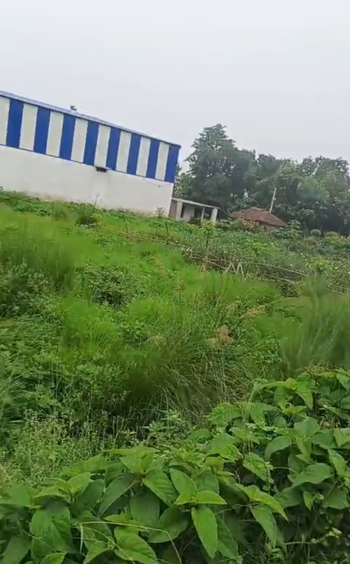 🏡 SIMMA KALI MANDIR – GADHBNELI PURNIA में 25 कट्ठा LAND बिक्री के लिए PN 142 - Image 6