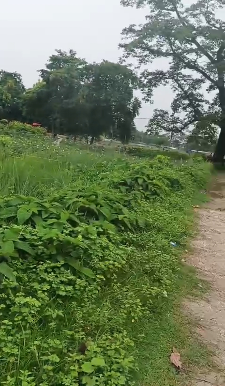 🏡 SIMMA KALI MANDIR – GADHBNELI PURNIA में 25 कट्ठा LAND बिक्री के लिए PN 142 - Image 4