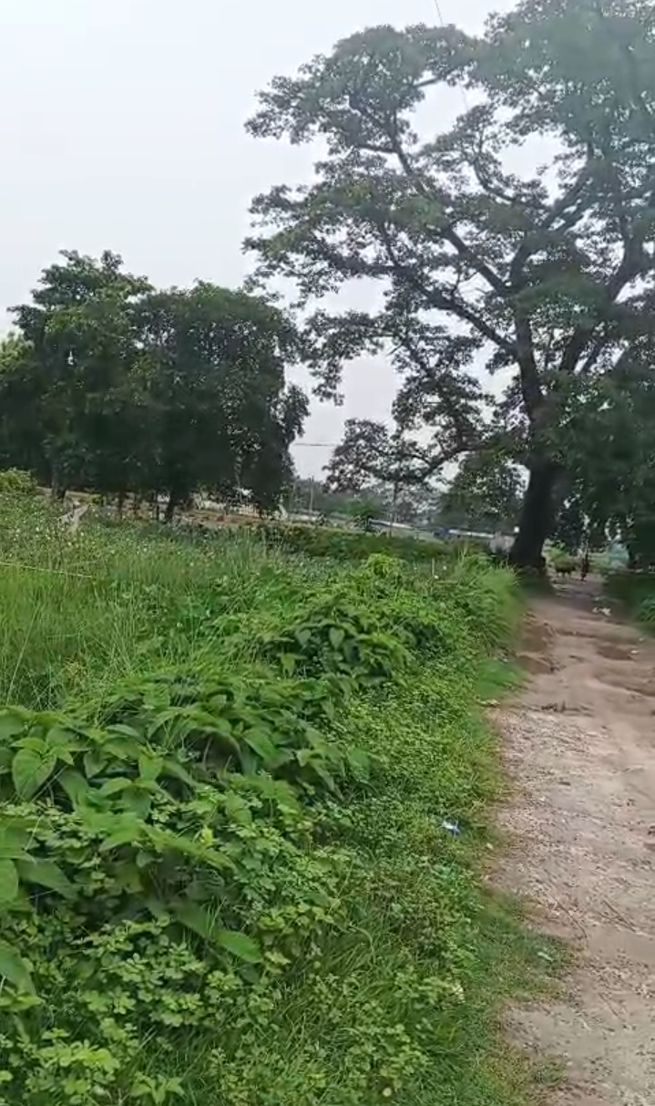 🏡 SIMMA KALI MANDIR – GADHBNELI PURNIA में 25 कट्ठा LAND बिक्री के लिए PN 142 - Image 5