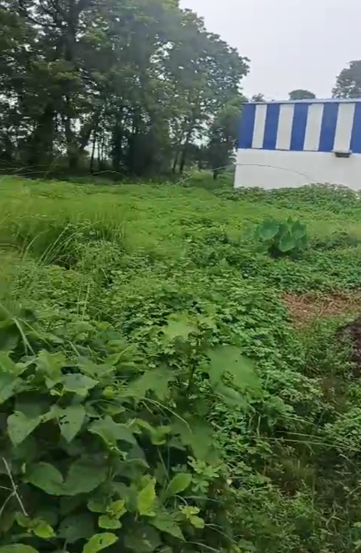 🏡 SIMMA KALI MANDIR – GADHBNELI PURNIA में 25 कट्ठा LAND बिक्री के लिए PN 142 - Image 2
