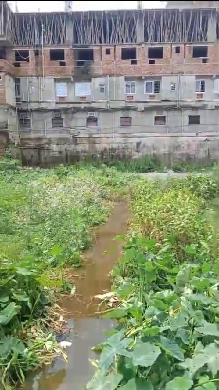 ЁЯПб RAMBAGH ROAD тАУ LINE BAZAR PURNIA рдореЗрдВ 15 рдХрдЯреНрдард╛ LAND рдмрд┐рдХреНрд░реА рдХреЗ рд▓рд┐рдП PN 145 - Image 7