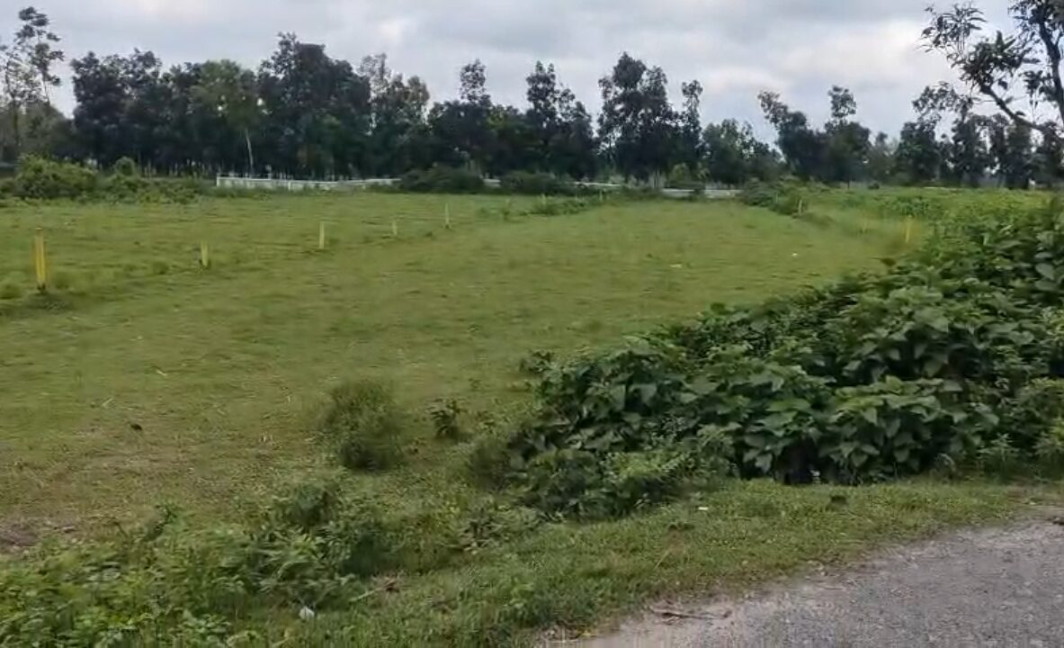 ЁЯПб BALURGHAT тАУ SRINAGAR ROAD PURNIA рдореЗрдВ 17 рдХрдЯреНрдард╛ LAND рдмрд┐рдХреНрд░реА рдХреЗ рд▓рд┐рдП PN 146 - Image 8